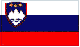 country_flag